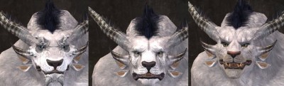 gw2-total-makeover-kit-new-faces-charr-male