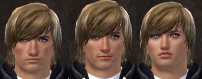 gw2-total-makeover-kit-new-faces-human-male
